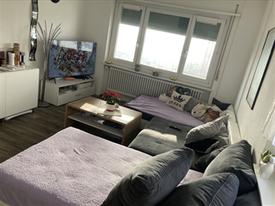 3.5 Zimmer zu vermieten