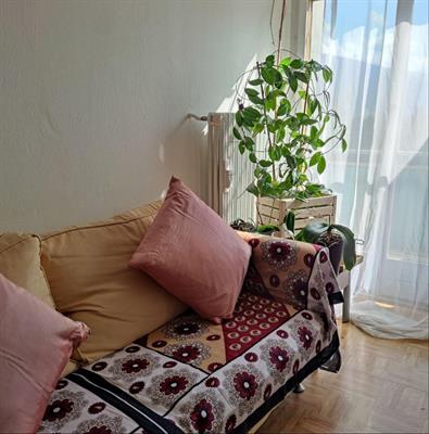 1.5 Zimmer zu vermieten