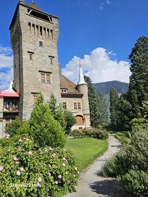 Bild 5