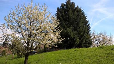 Bild 14
