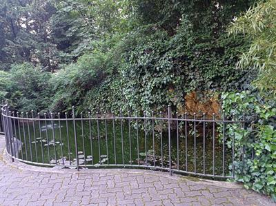 Bild 12