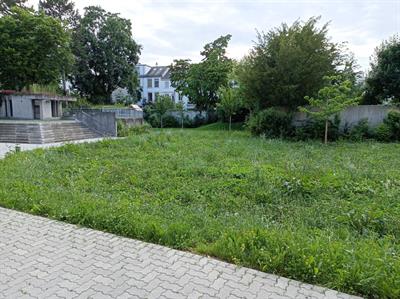 Bild 7