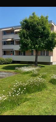 1.5 Zimmer zu vermieten