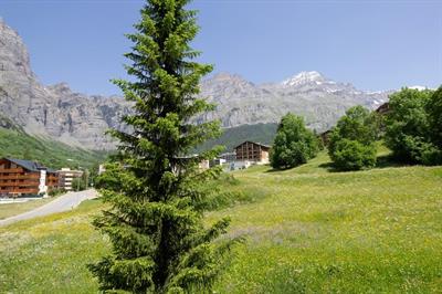 Bild 13