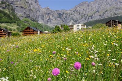 Bild 14
