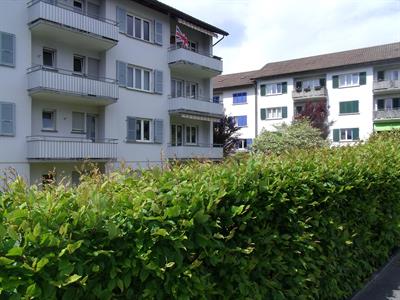 1.5 Zimmer zu vermieten