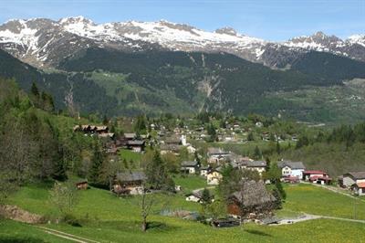 Bild 12