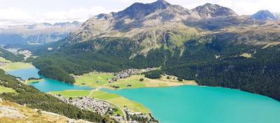 3.5 Zimmer zu vermieten