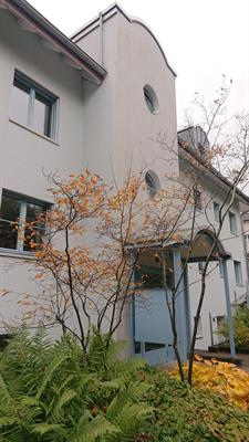 3.5 Zimmer zu vermieten