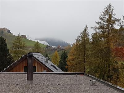 2.5 Zimmer zu vermieten