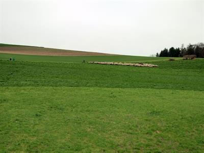 Bild 16